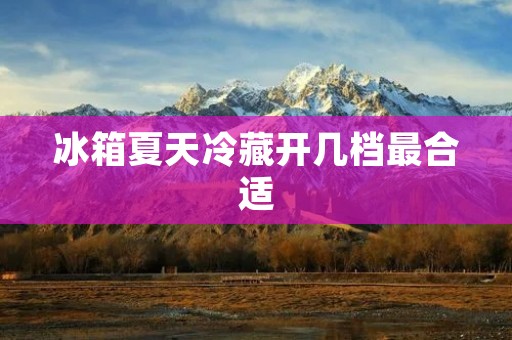 冰箱夏天冷藏开几档最合适