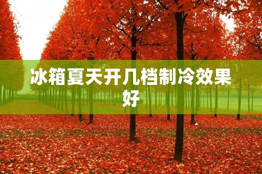 冰箱夏天开几档制冷效果好 冰箱夏天开几档制冷效果好