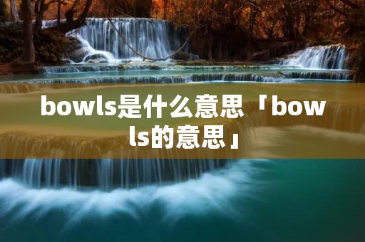 bowls是什么意思「bowls的意思」