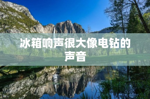 冰箱响声很大像电钻的声音：详细描述