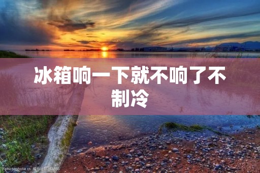 冰箱响一下就不响了不制冷:故障原因及解决方法 冰箱响一下就不响了不制冷:故障原因及解决方法