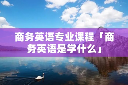 商务英语专业课程「商务英语是学什么」