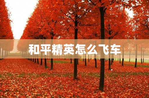 和平精英怎么飞车