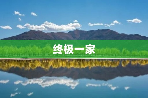 终极一家:家庭团聚的深刻故事