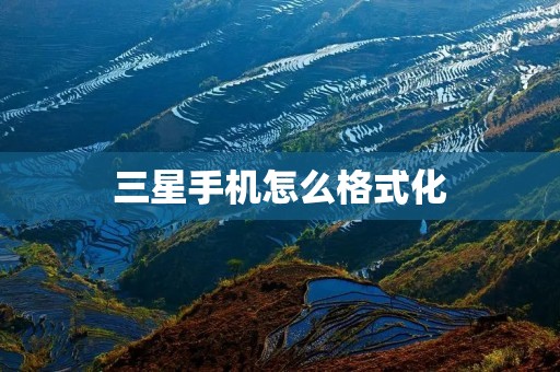 三星手机怎么格式化