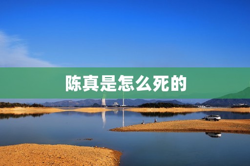 陈真是怎么死的