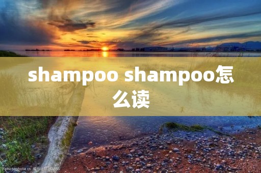 shampoo shampoo怎么读