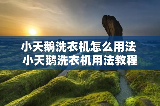 小天鹅洗衣机怎么用法 小天鹅洗衣机用法教程 小天鹅洗衣机怎么用法 小天鹅洗衣机用法教程