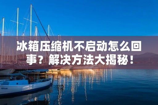 冰箱压缩机不启动怎么回事?解决方法大揭秘! 冰箱压缩机不启动怎么回事?解决方法大揭秘!
