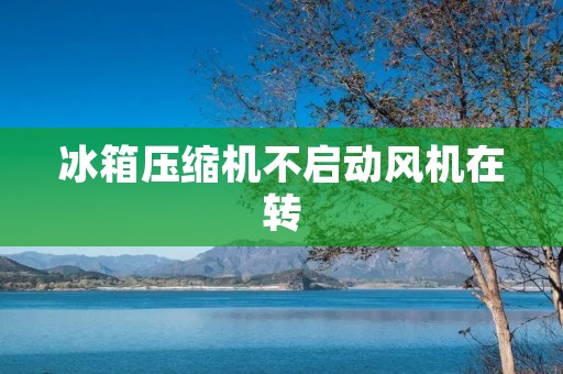 冰箱压缩机不启动风机在转：原因和解决方法