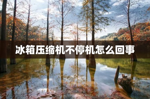 冰箱压缩机不停机怎么回事 冰箱压缩机不停机怎么回事