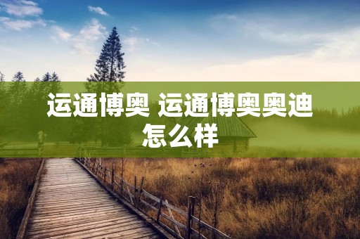 运通博奥 运通博奥奥迪怎么样
