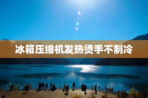 冰箱压缩机发热烫手不制冷:如何解决这一问题 冰箱压缩机发热烫手不制冷:如何解决这一问题
