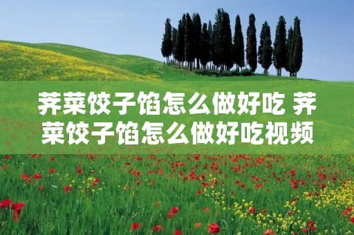 荠菜饺子馅怎么做好吃 荠菜饺子馅怎么做好吃视频