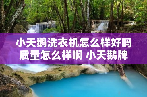 小天鹅洗衣机怎么样好吗质量怎么样啊 小天鹅牌洗衣机质量怎么样 小天鹅洗衣机怎么样好吗质量怎么样啊 小天鹅牌洗衣机质量怎么样