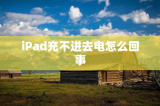 iPad充不进去电怎么回事