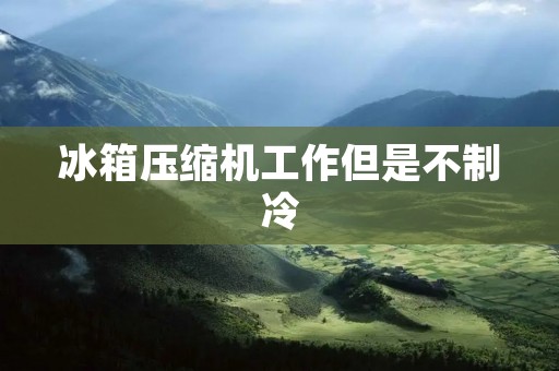 冰箱压缩机工作但是不制冷:原因和解决办法