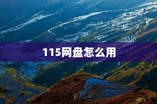 115网盘怎么用