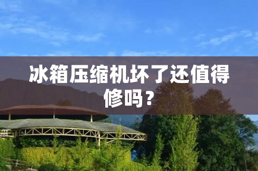 冰箱压缩机坏了还值得修吗? 冰箱压缩机坏了还值得修吗?