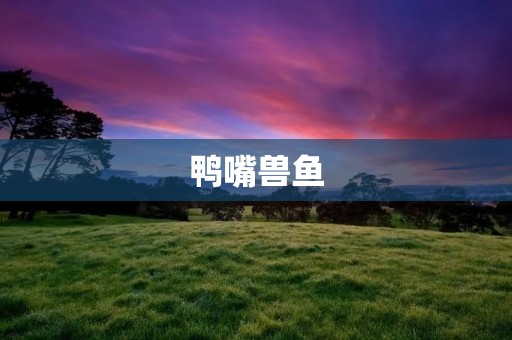 鸭嘴兽鱼:神奇生物在深海的奇遇