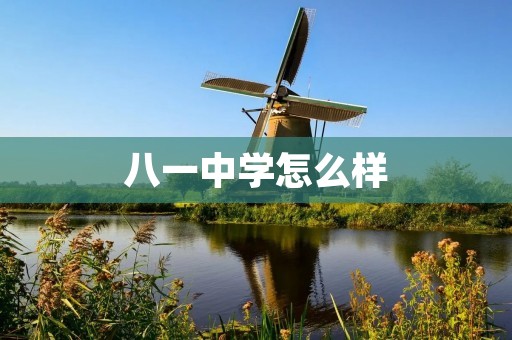 八一中学怎么样