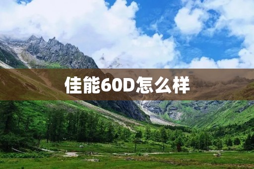 佳能60D怎么样