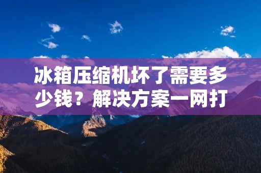 冰箱压缩机坏了需要多少钱?解决方案一网打尽! 冰箱压缩机坏了需要多少钱?解决方案一网打尽!