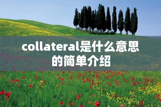 collateral是什么意思的简单介绍