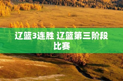 辽篮3连胜 辽篮第三阶段比赛