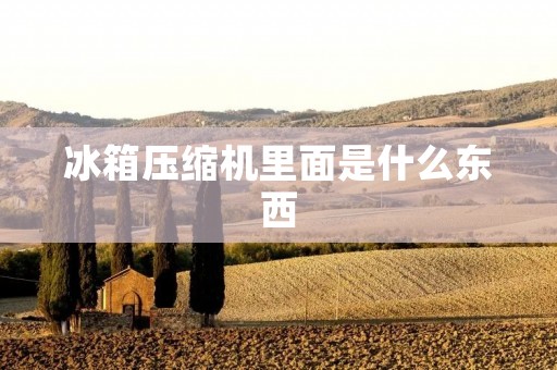 冰箱压缩机里面是什么东西
