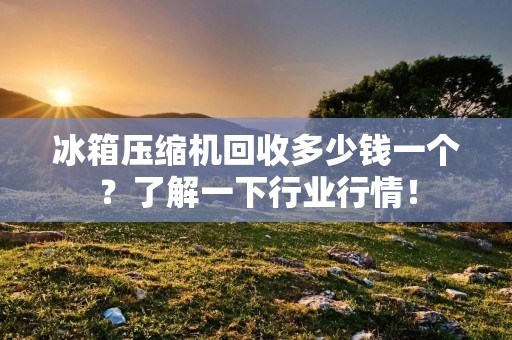 冰箱压缩机回收多少钱一个?了解一下行业行情! 冰箱压缩机回收多少钱一个?了解一下行业行情!