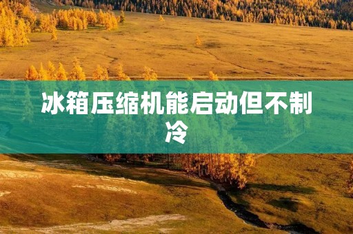 冰箱压缩机能启动但不制冷:原因与解决方法 冰箱压缩机能启动但不制冷:原因与解决方法