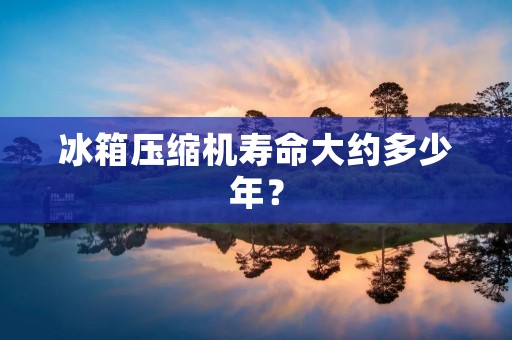 冰箱压缩机寿命大约多少年？
