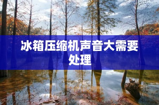 冰箱压缩机声音大需要处理:原因与解决方法详解 冰箱压缩机声音大需要处理:原因与解决方法详解
