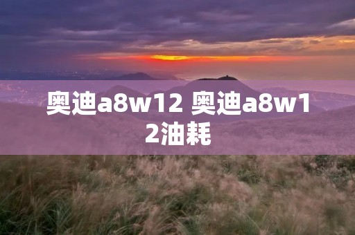 奥迪a8w12 奥迪a8w12油耗