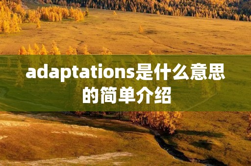 adaptations是什么意思的简单介绍 adaptations是什么意思的简单介绍
