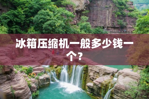 冰箱压缩机一般多少钱一个？