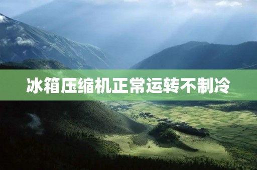 冰箱压缩机正常运转不制冷:详细解析 冰箱压缩机正常运转不制冷:详细解析