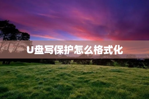 U盘写保护怎么格式化