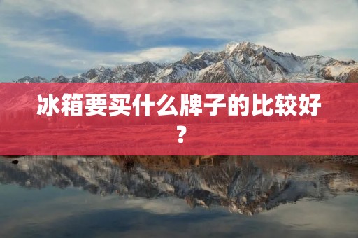 冰箱要买什么牌子的比较好？