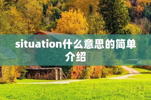 situation什么意思的简单介绍