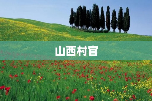 山西村官:推动乡村振兴的重要力量