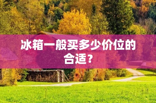 冰箱一般买多少价位的合适? 冰箱一般买多少价位的合适?