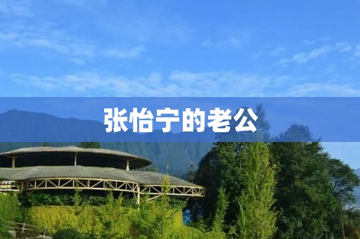 张怡宁的老公:一段不平凡的婚姻故事