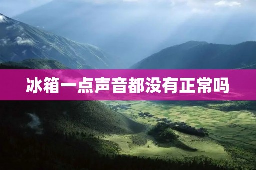 冰箱一点声音都没有正常吗