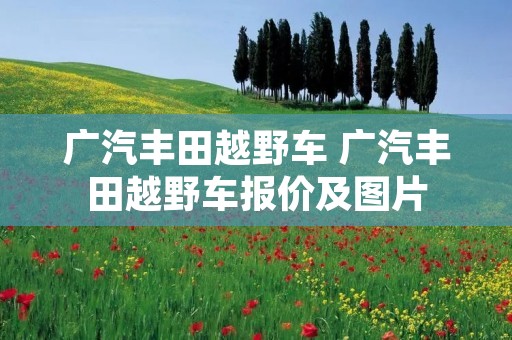 广汽丰田越野车 广汽丰田越野车报价及图片 广汽丰田越野车 广汽丰田越野车报价及图片