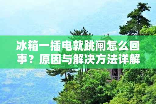 冰箱一插电就跳闸怎么回事?原因与解决方法详解 冰箱一插电就跳闸怎么回事?原因与解决方法详解