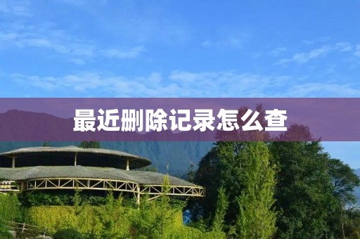 最近删除记录怎么查