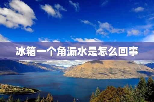 冰箱一个角漏水是怎么回事 冰箱一个角漏水是怎么回事