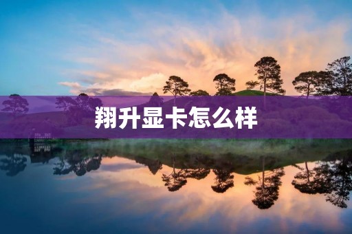 翔升显卡怎么样